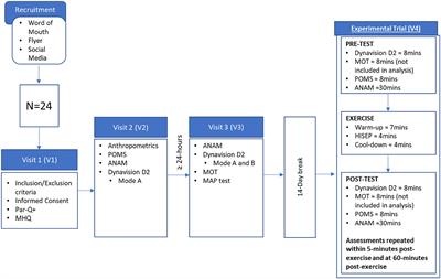 Cycle-based high-intensity sprint exercise elicits acute cognitive dysfunction in psychomotor and memory task performance